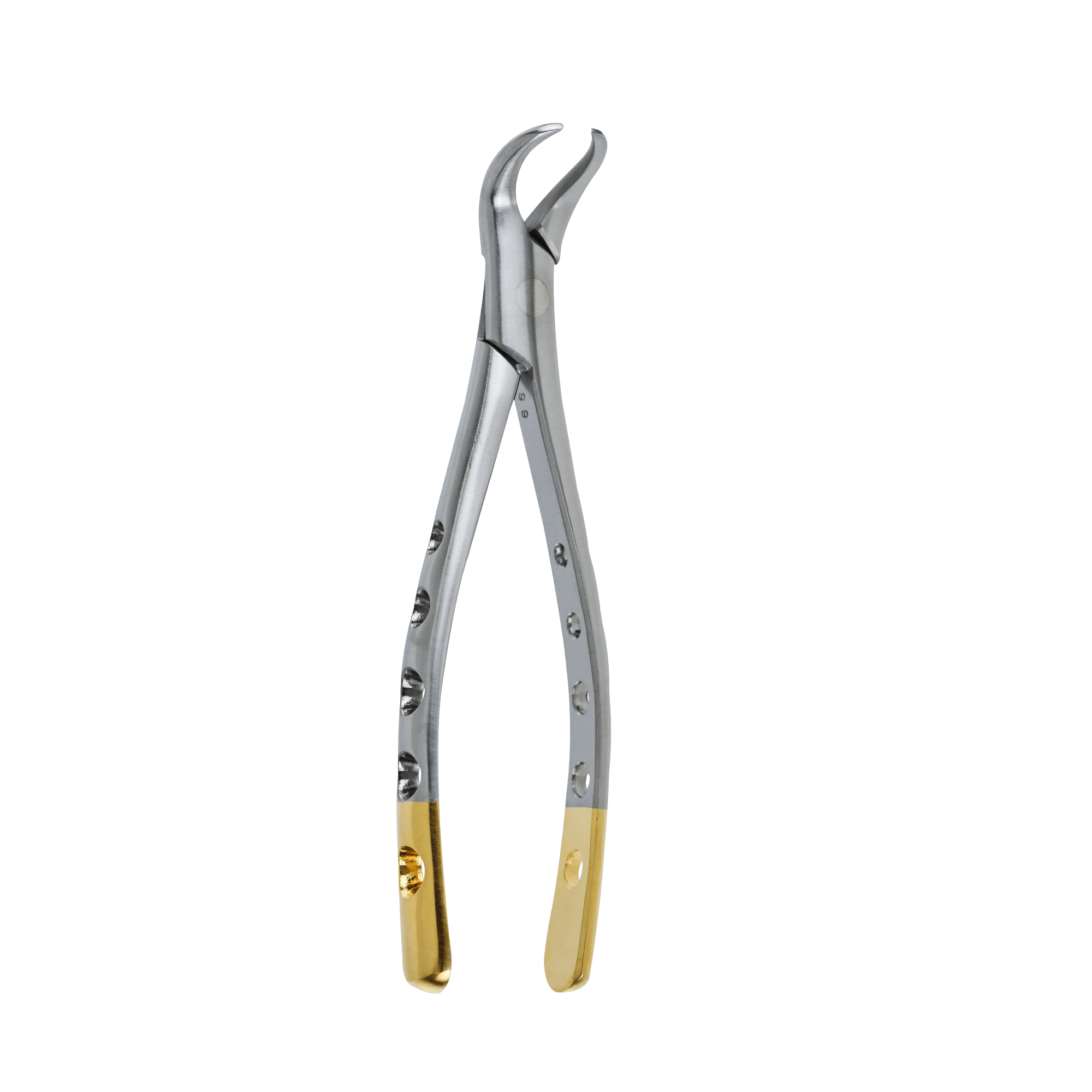 Set Of 5 Cow Horn Extracting Forceps #23 - For 1st & 2nd Lower Molars, Stainless Steel Dental Instruments