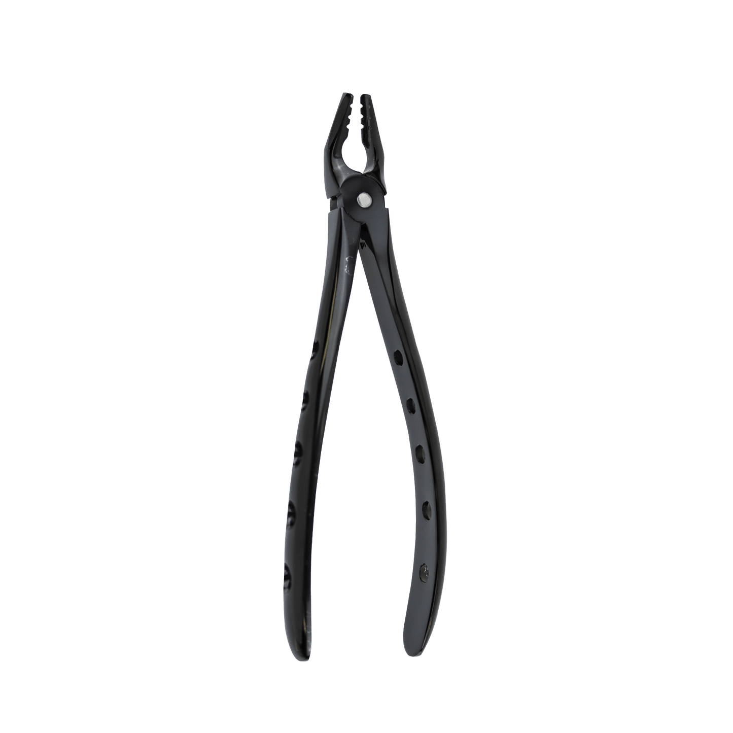 Atraumatic Extraction Black Titanium Apical Retention Forceps-Upper Universal Premolars Serrated