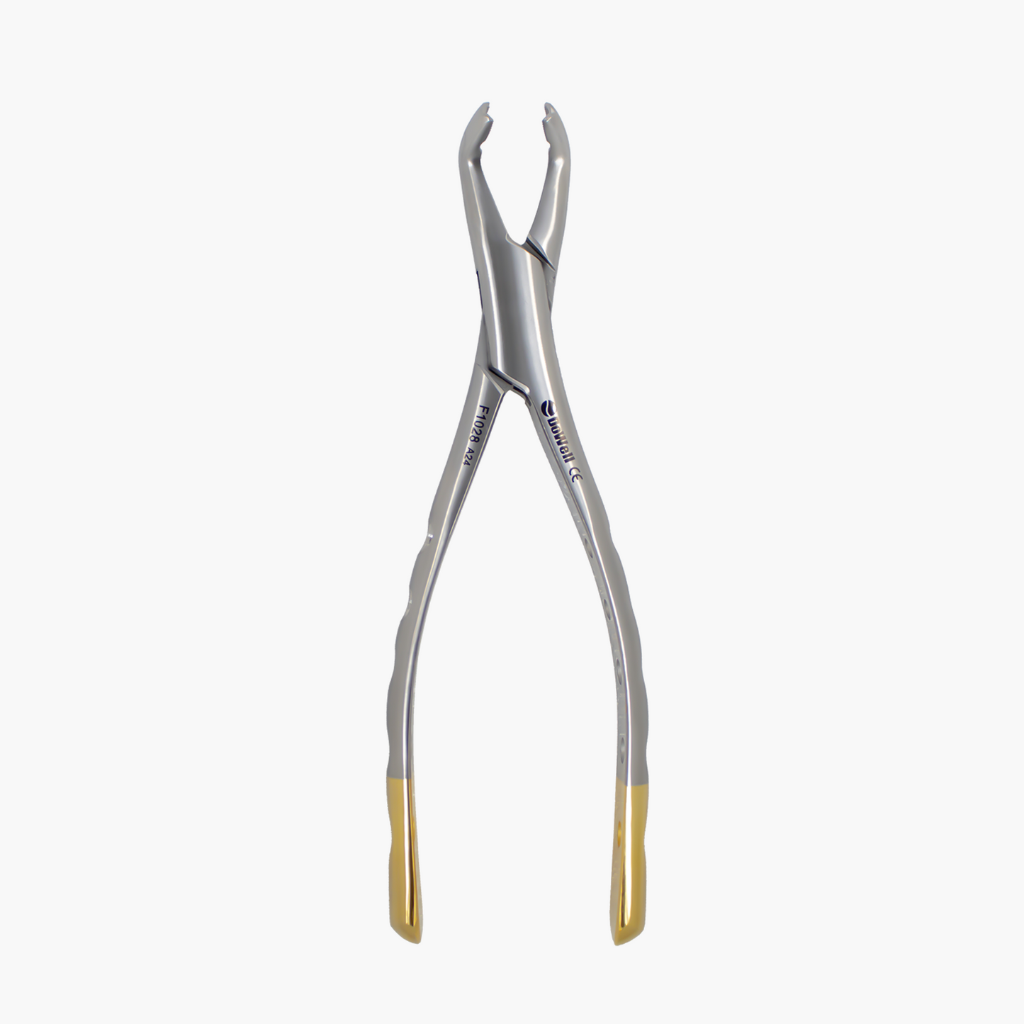 Lower 3rd Molars Forceps