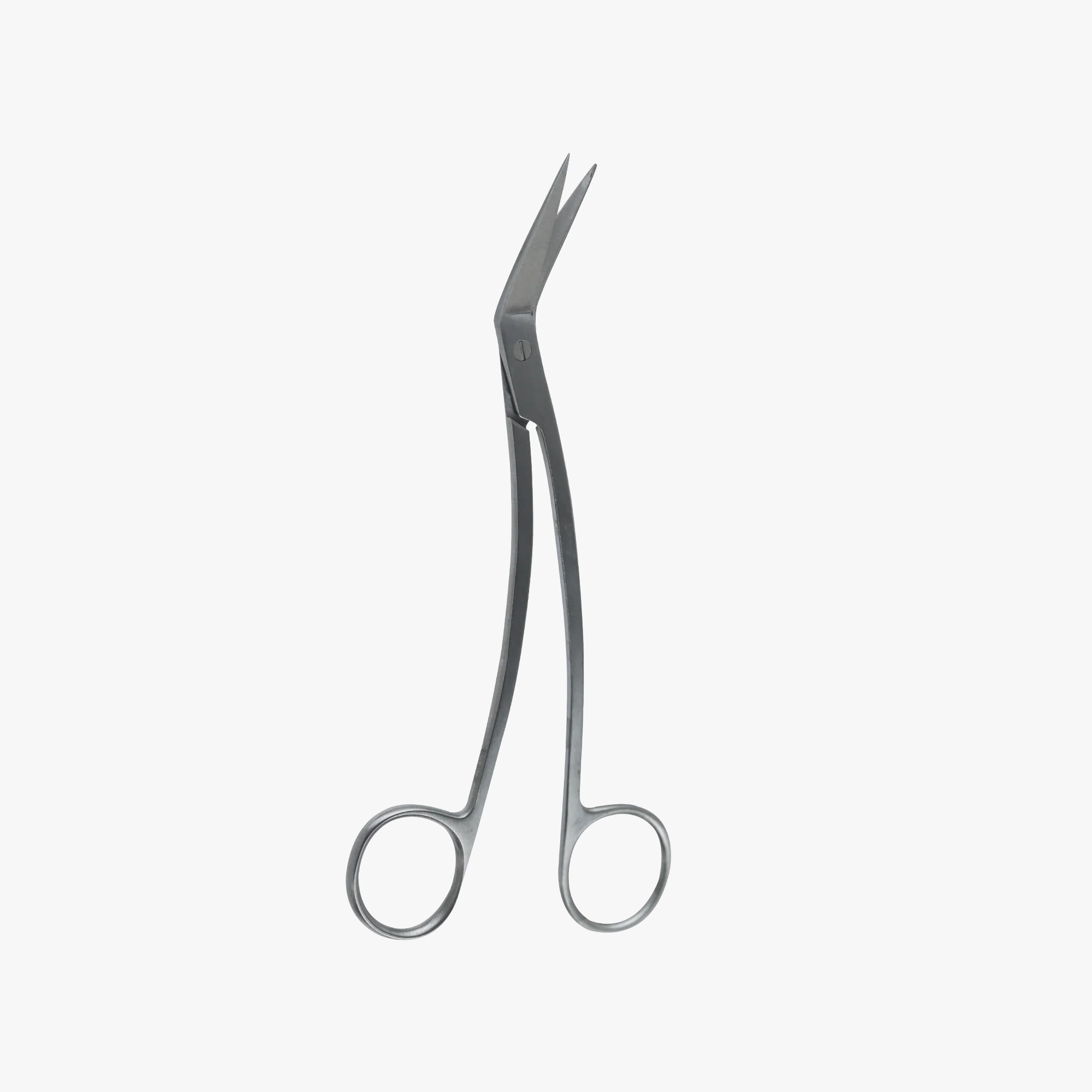 Surgical Gum Tissue Scissors- Locklin Scissor 16.5Cm