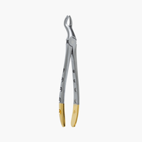 Dental Extraction Forceps F-12 Upper Molar Right