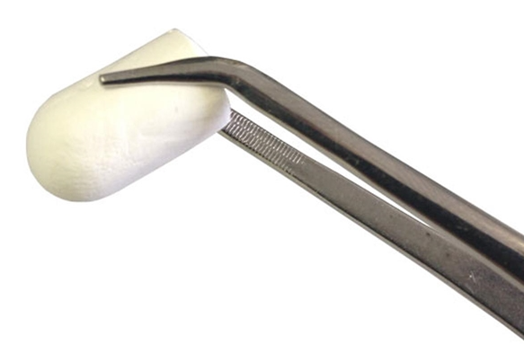 CollaForm® Collagen Wound Dressing Plugs - Box of 5 – DoWell Dental ...