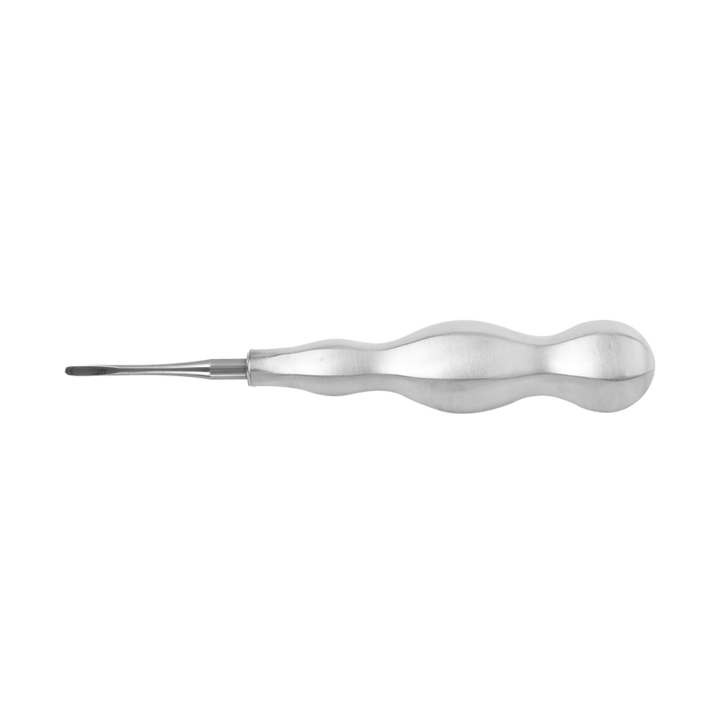 Dental Extraction Elevators-WWJ-STR Straight