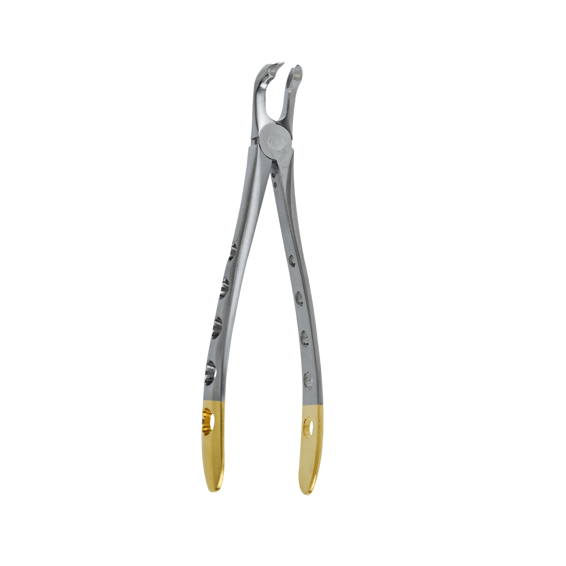 Set Of 5 Cow Horn Extracting Forceps #23 - For 1st & 2nd Lower Molars, Stainless Steel Dental Instruments