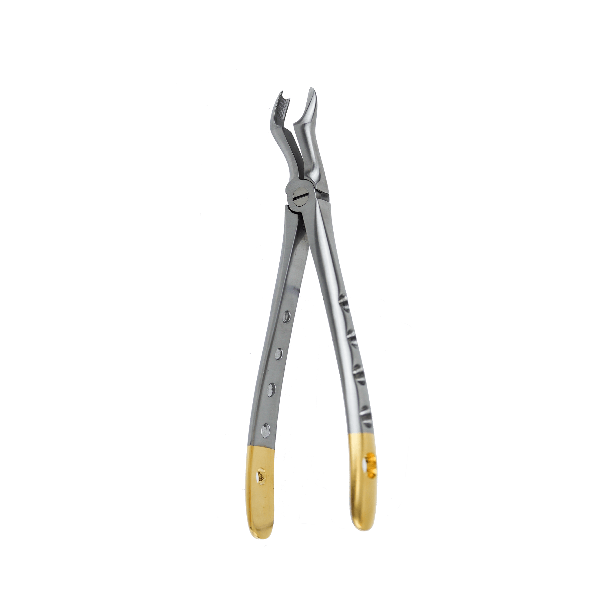 Metal Tooth Extractor Dental Extraction Tools