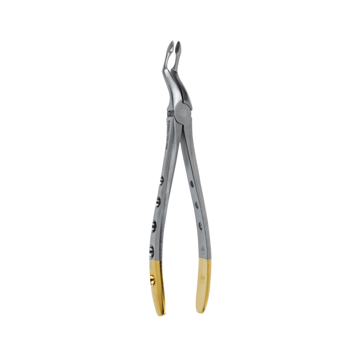 Dental Extracting Forceps 150s Surgical Tooth Extraction. Model: D257 Dental Extracting Forceps 150s Surgical Tooth Extraction. Model: D257