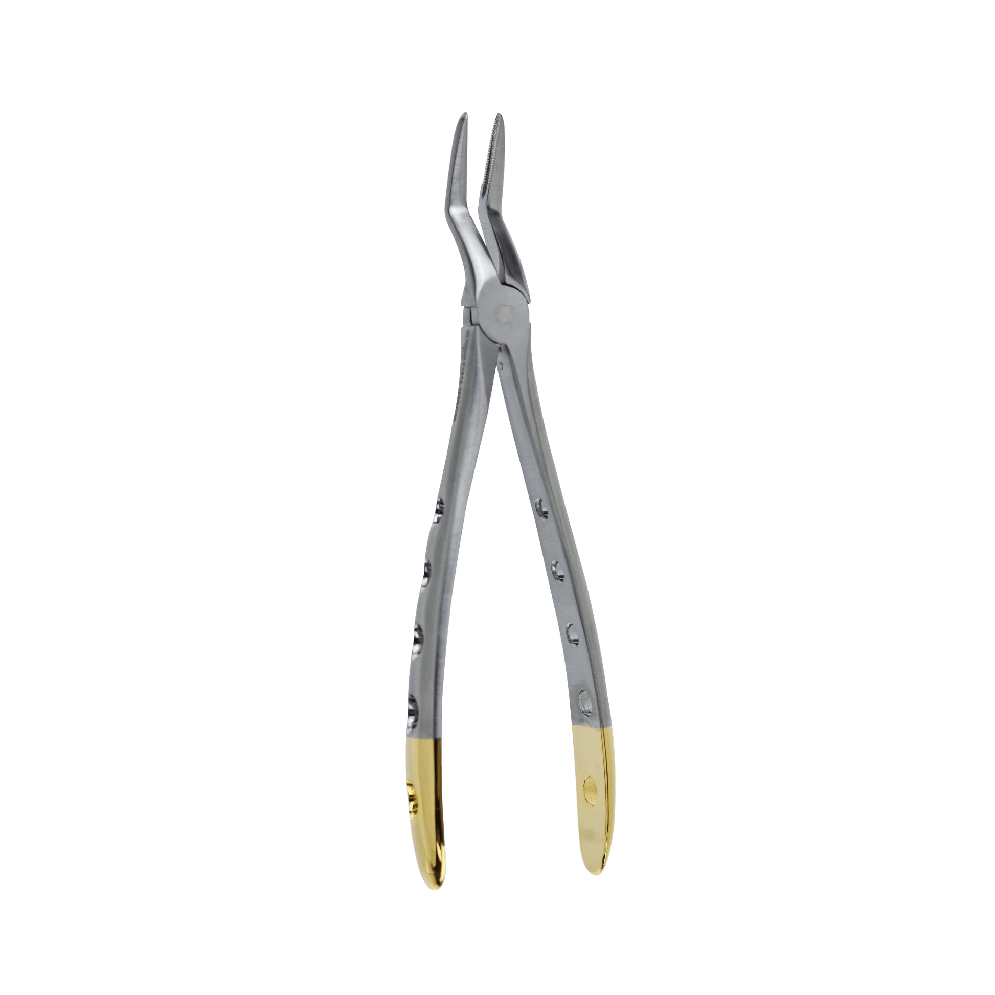 Dental Extraction Forceps F-51XL Upper Root. Dental Extraction Forceps.