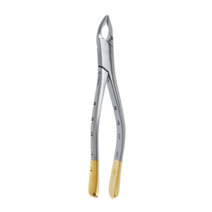 Atraumatic Extraction Apical Retention Forceps-Upper Universal Premolars