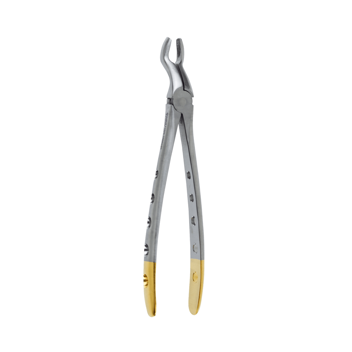 German Stainless Steel Dental Extraction Forceps - Premium Tooth Removing Tool