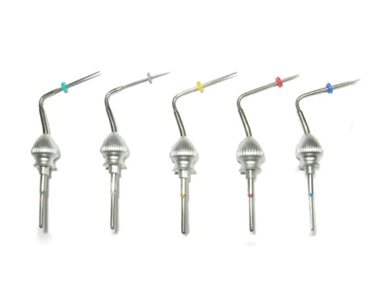 Friendo : Pen Tip (XF,F,FM,M,ML) (1 EA)