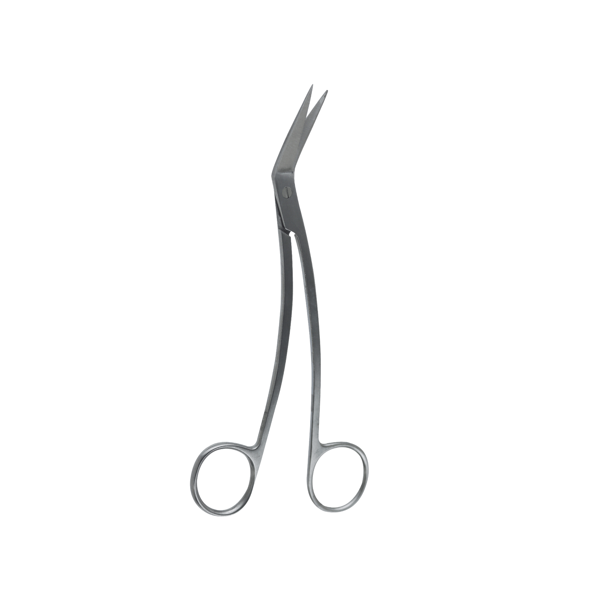 Surgical Gum Tissue Scissors- Locklin Scissor 16.5Cm