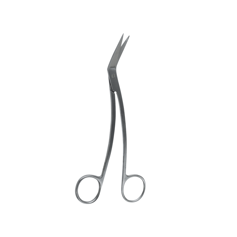 Surgical Gum Tissue Scissors- Locklin Scissor 16.5Cm