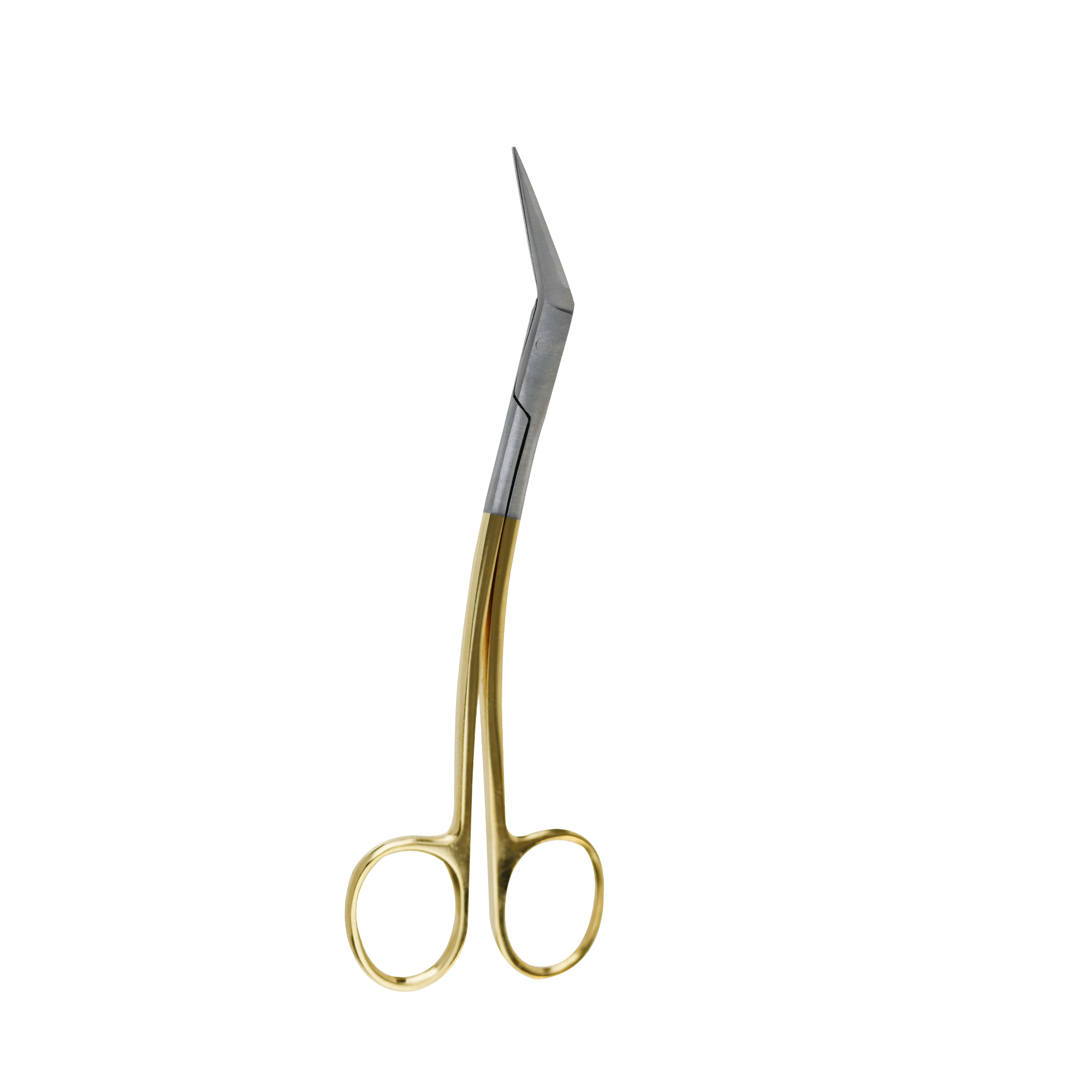 Surgical Gum Tissue Scissors Serrated T/C(Tungsten Carbide)- Locklin scissor 16.5Cm
