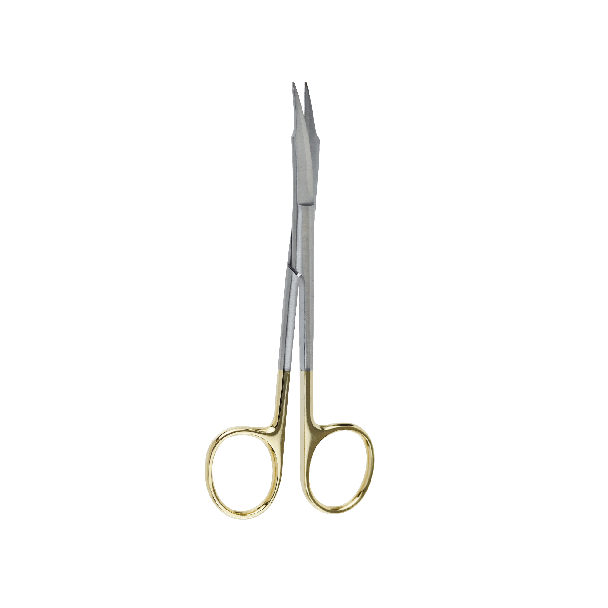Surgical Gum Tissue Scissors Serrated T/C tips Goldman Fox scissors Curved 13Cm